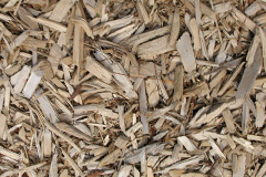 biomass boilers Whitecairns